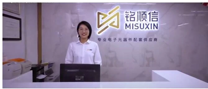 Історія MISUXIN